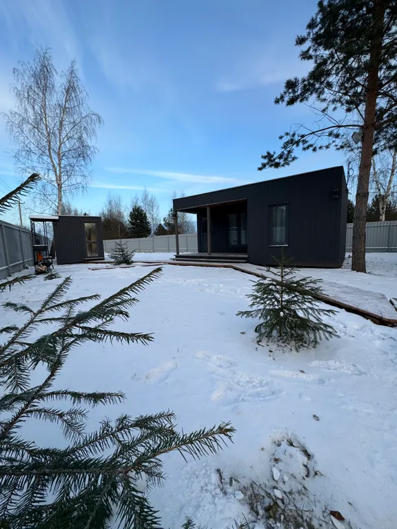 Уютный, небольшой сканди домик у леса