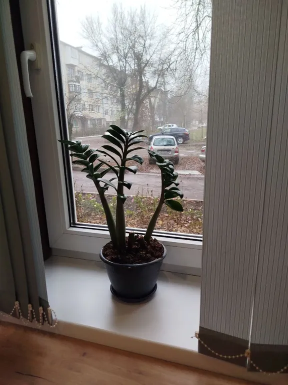 Квартира в центре с автономным отоплением