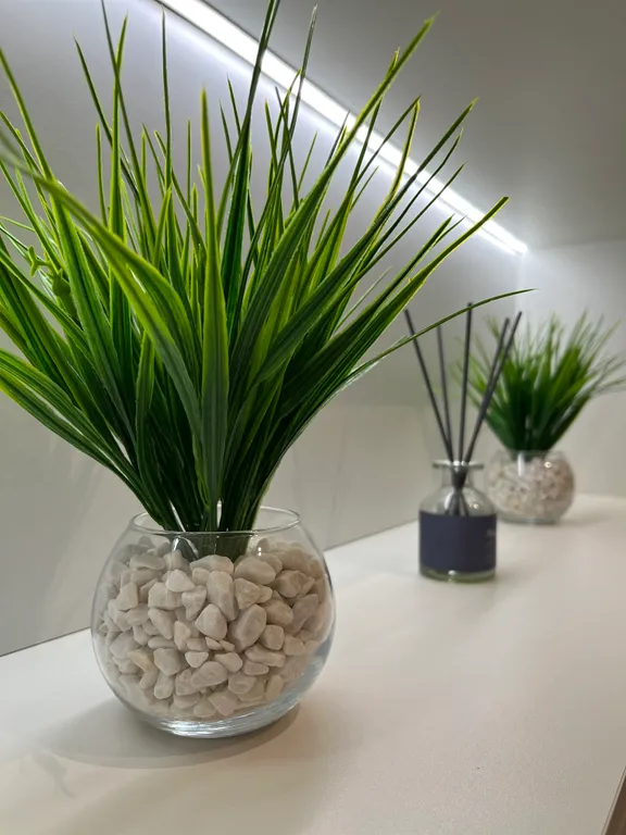 2х комнатные апартаменты рядом с морем с видом на лес