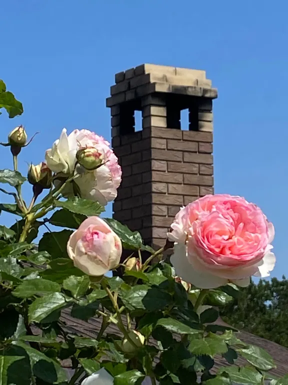 Квартира Квартира Классический четырехместный номер — Витино