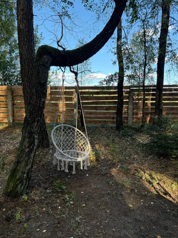 Домик в сосновом лесу aframe 2