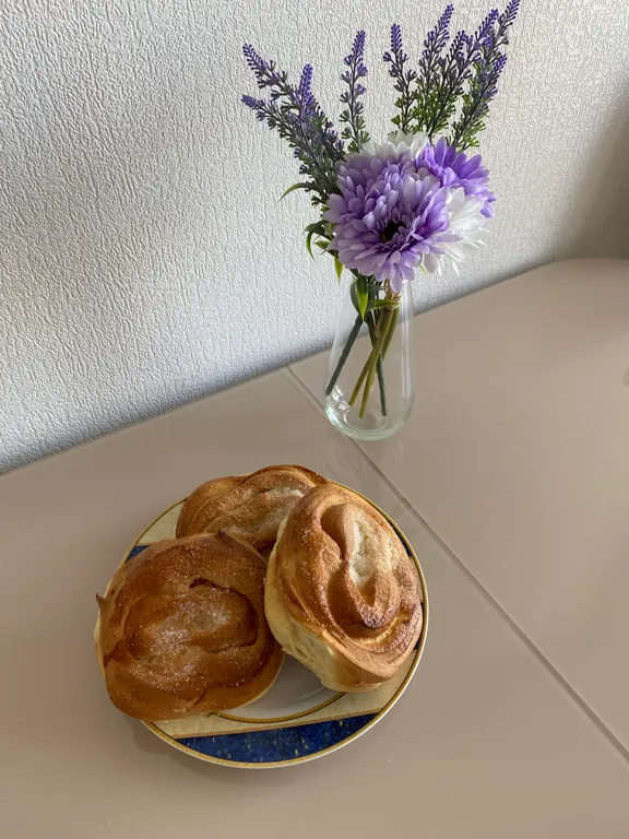 Квартира Уютная квартира с красивым видом — Светлогорск