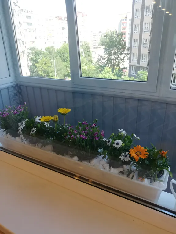 Комфортная квартира в центре города