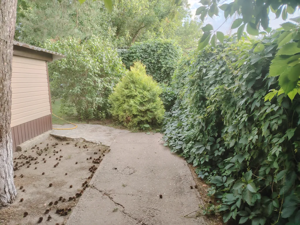 Дом с баней недалеко от Дона