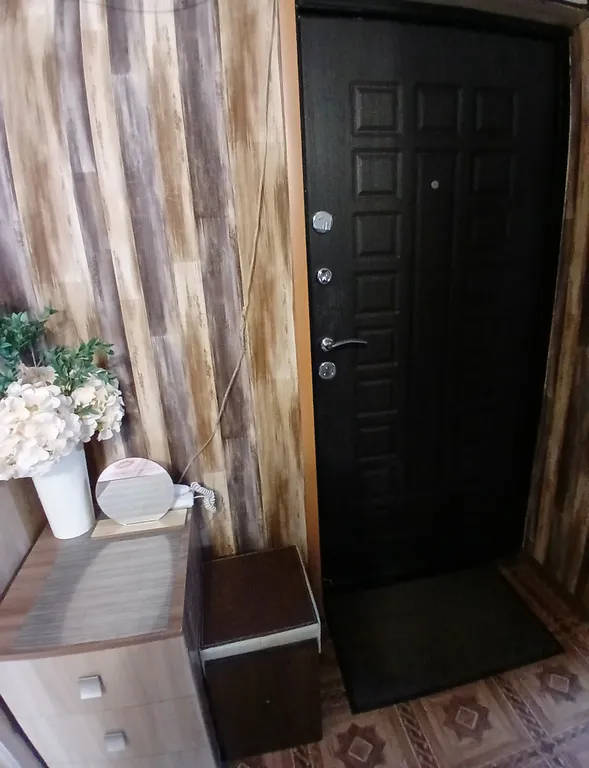 Уютная однокомнатная квартира