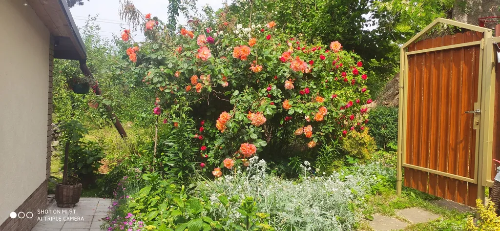 Студия с уютным двориком