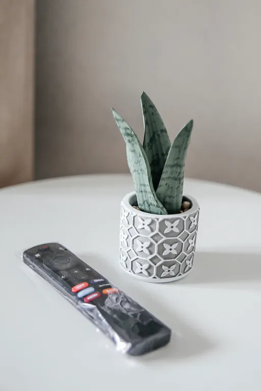 Гармония уюта: светлая студия с кроватью king size