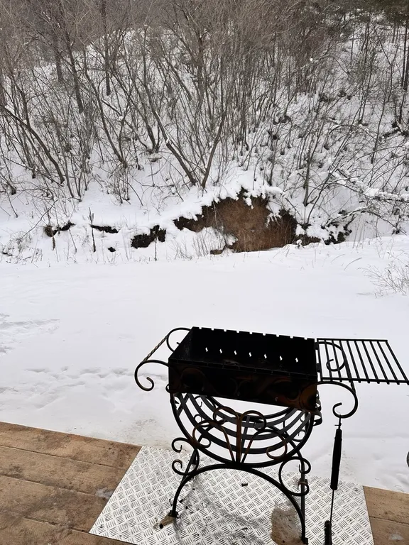 Гостевой дом и кедровая баня на Алтайской