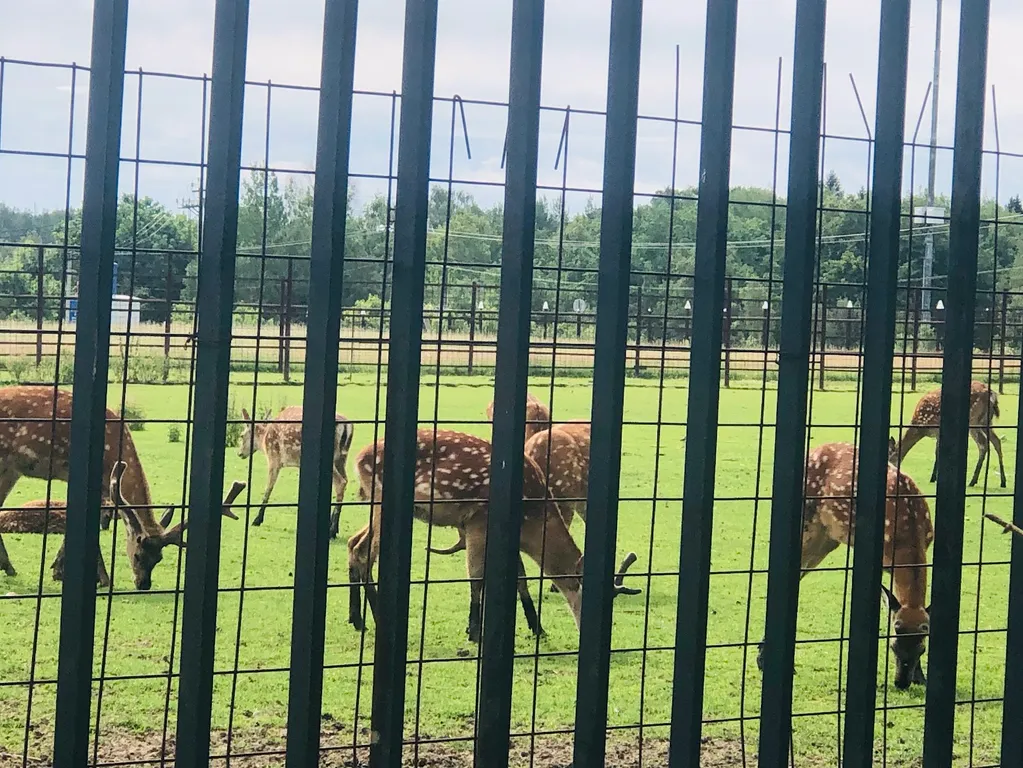 Уютный Family House