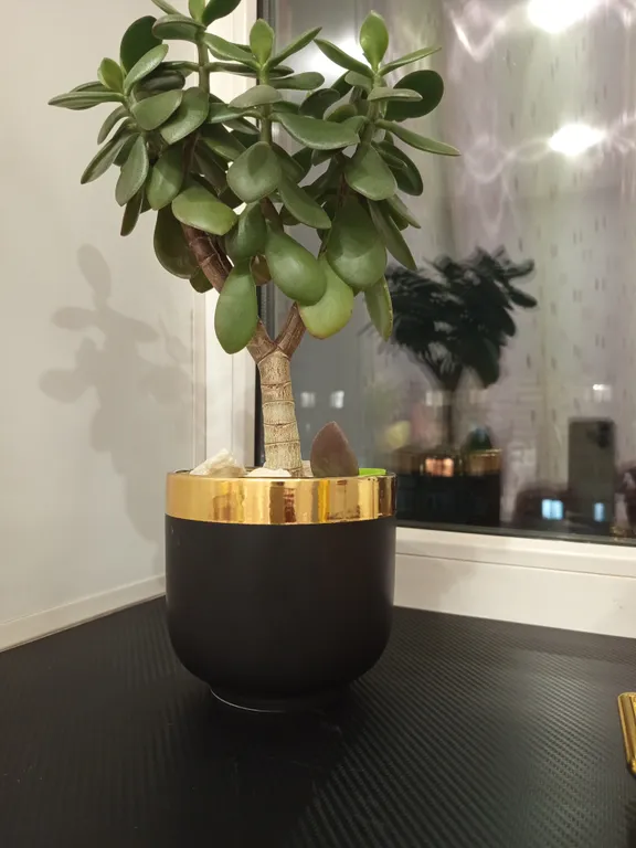 Идеальный отдых глазами гостей