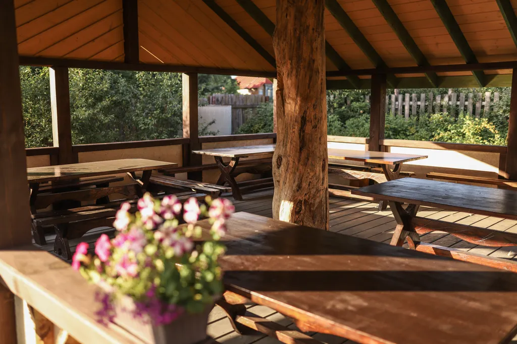 Дом Терем в усадьбе Галат