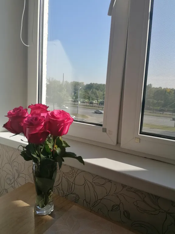 С видом на сад победы, рядом с оптик-центром, okoris и медеор ом