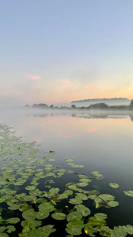 Дом у реки Дубна на первой линии