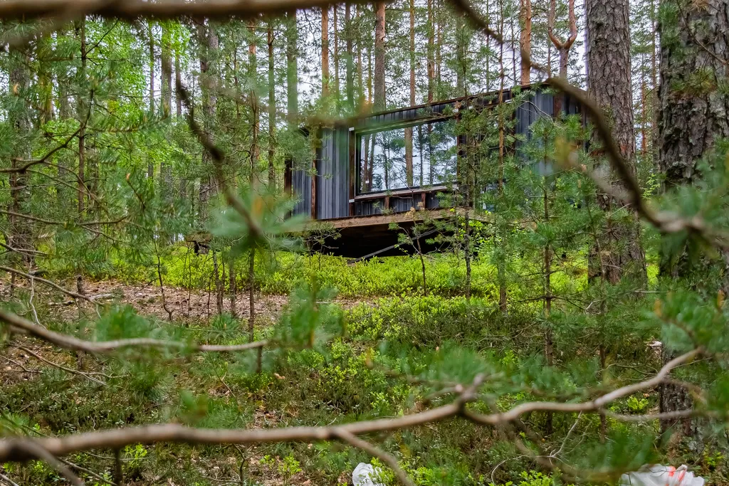 Загородный клуб Радужный лес