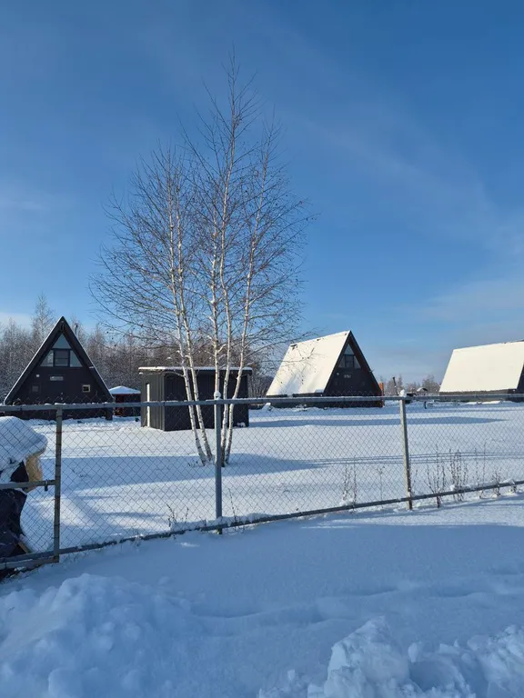 Коттедж Домик Сканди — Донской