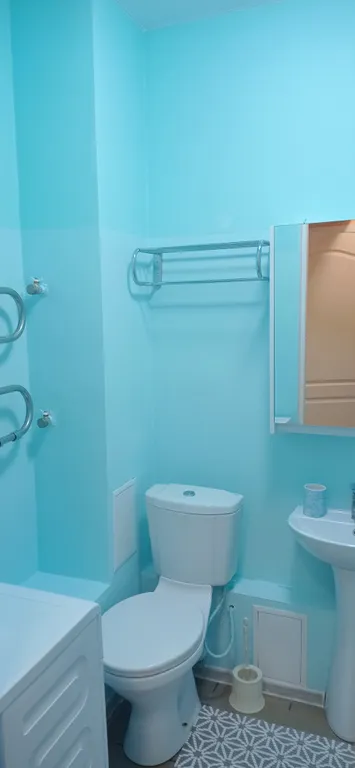 Однокомнатная в Петра Дубраве