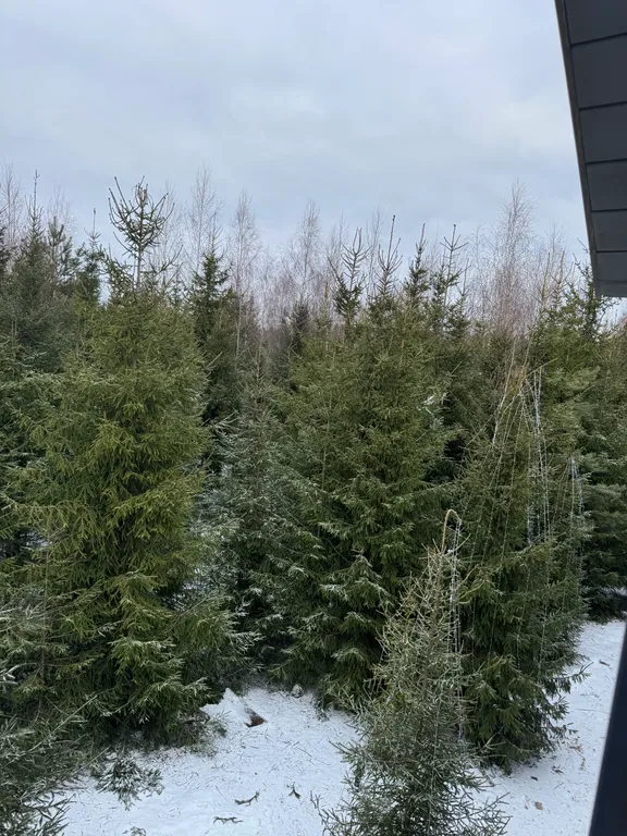 Дом с баней и джакузи