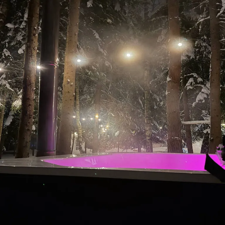 Сфера в сосновом лесу