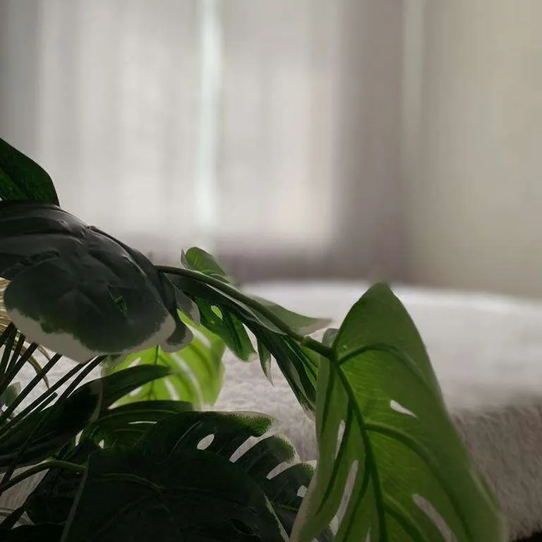 Дизайнерская квартира