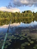 Карелия-Верховье