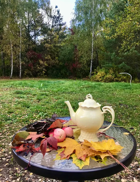 Фахверковый дом в Скрипово у реки Ока
