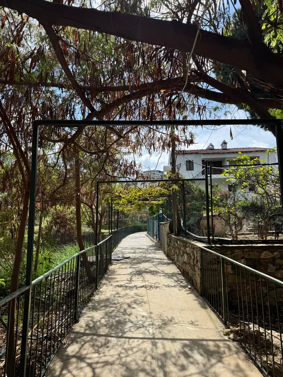 Новая квартира в Авсалларе