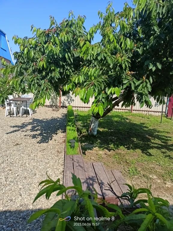 Дом в Благовещенской