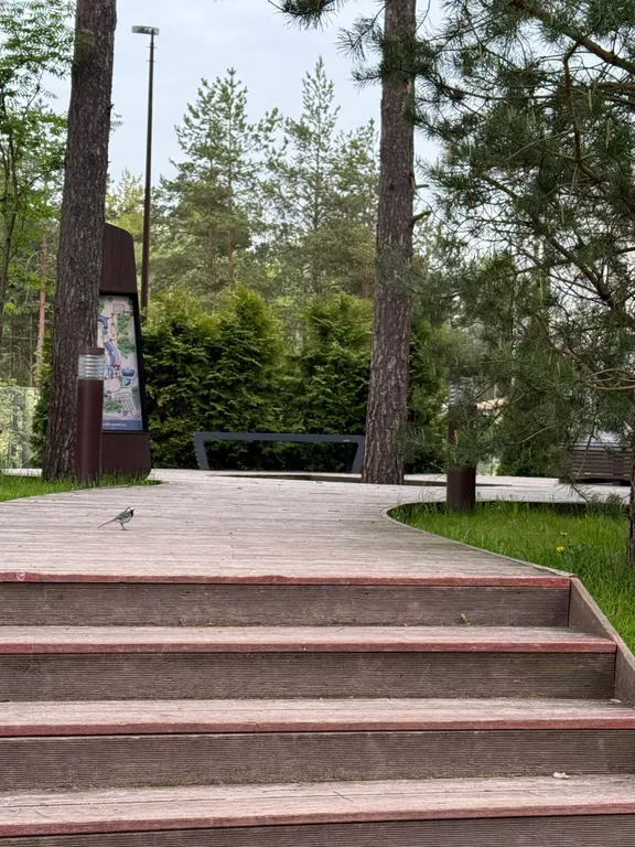 Квартира Апартамент на побережье — аренда посуточно в Сестрорецк