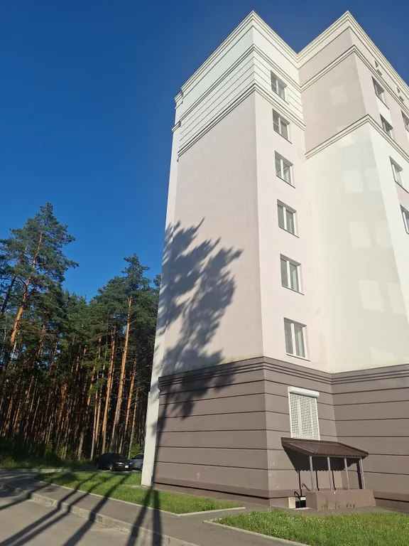 Уютная квартира в окружении соснового леса