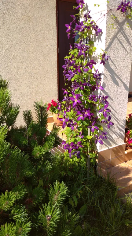 Дом в средиземноморском стиле