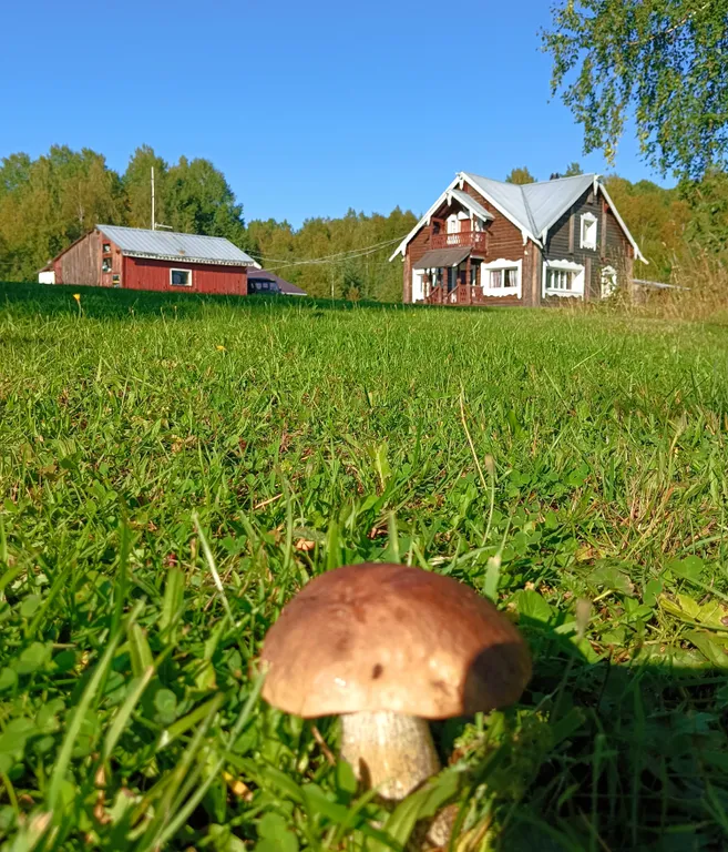 Гостевой дом Лось