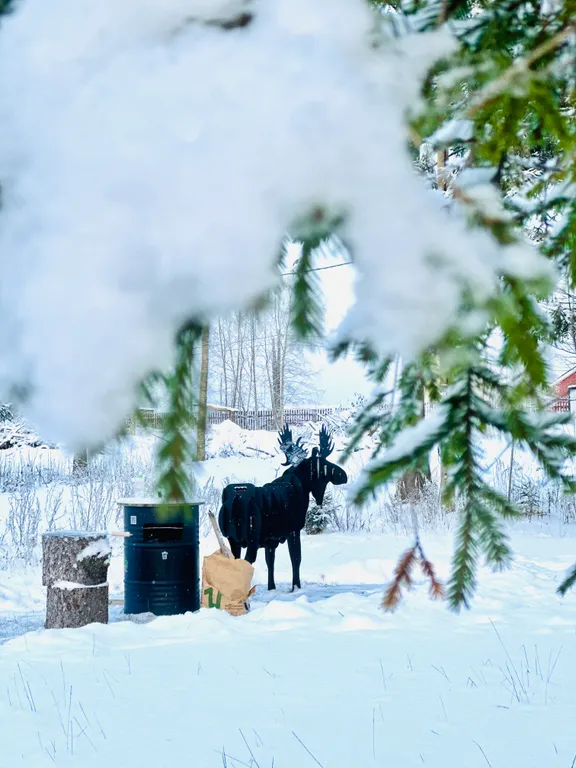 Коттедж Новые зимние дома в 5 минутах от главных горнолыжных курортов — Коробицыно