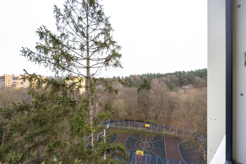 Квартира 2-комнатная Квартира — Светлогорск