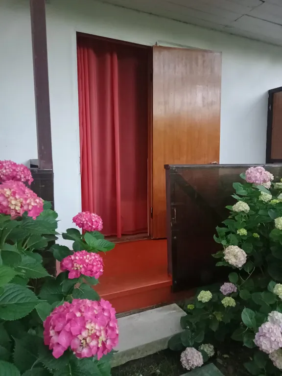 Трехместный Стандарт на 1 этаже с собственным балкончиком и входом