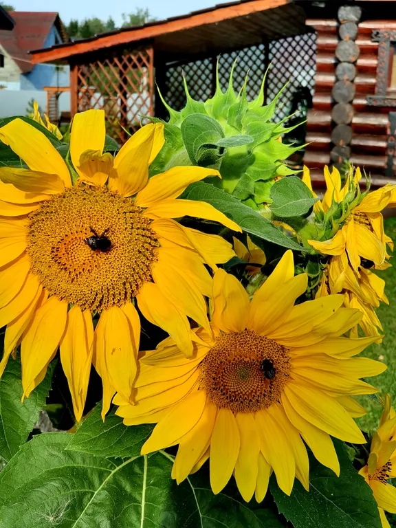 Коттедж с 1-й спальней, камин + сауна