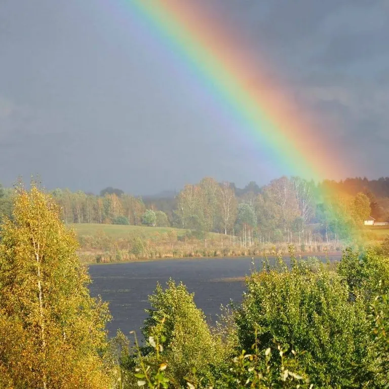 Дом у озера Мстижа