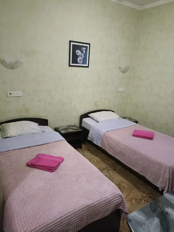 Двухместный номер стандарт с 2 односпальными кроватями