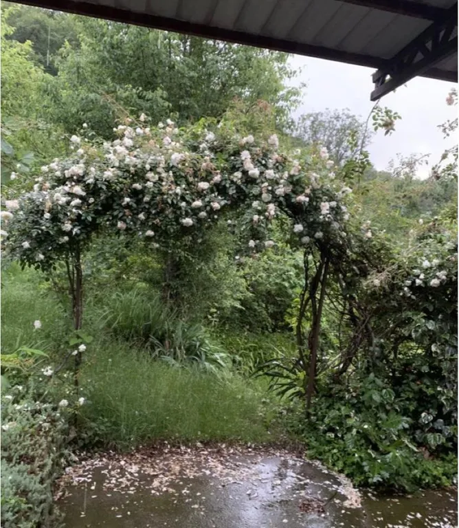 Коттедж Коттедж Голицино — Сочи