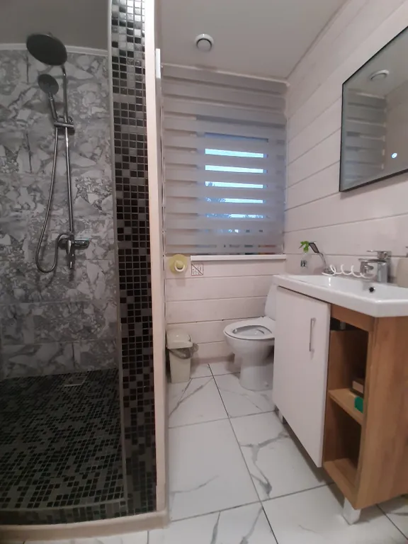 Дом в Сосновом бору