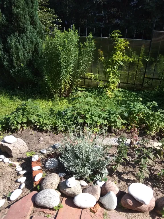 Уютная квартира в старинном немецком доме