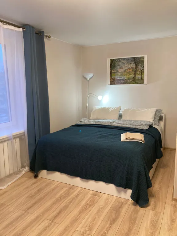 Уютная квартира в Золотом треугольнике Петергофа