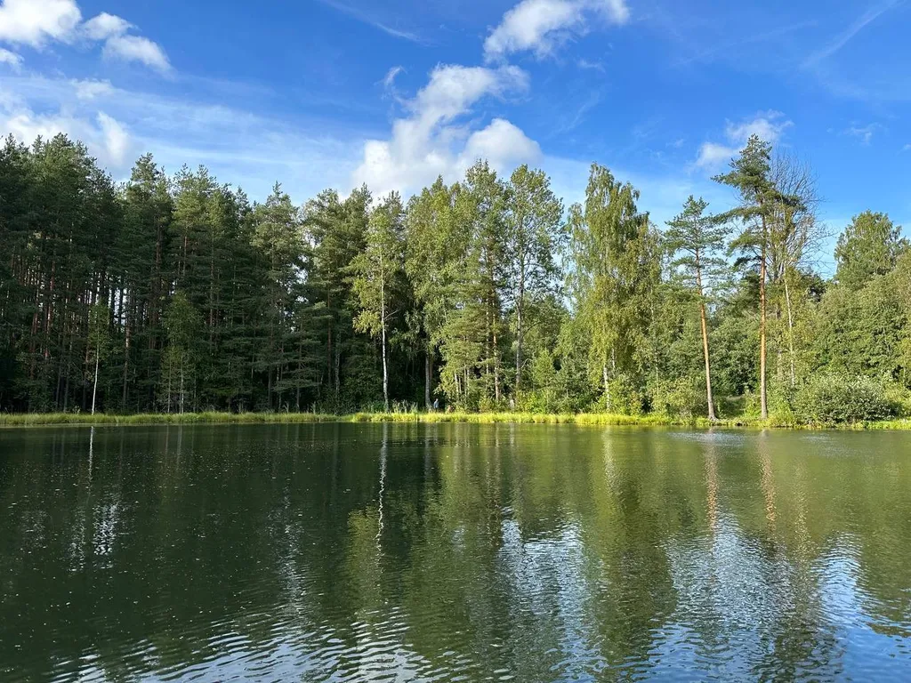 Коттедж Загородный дом с баней на дровах — Санкт-Петербург