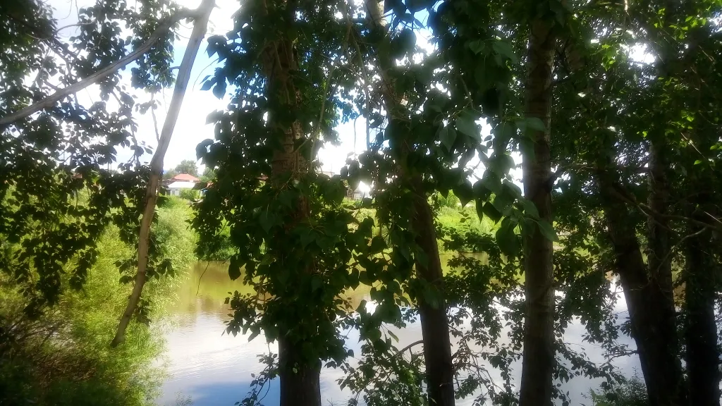 Дом, баня, чан на берегу реки Белой