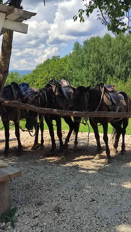 Домик в горах Адыгеи
