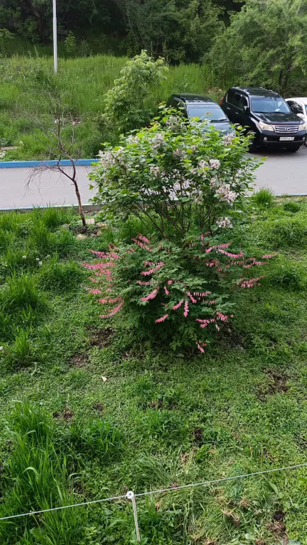 Студия в ритме морского города около Золотого моста