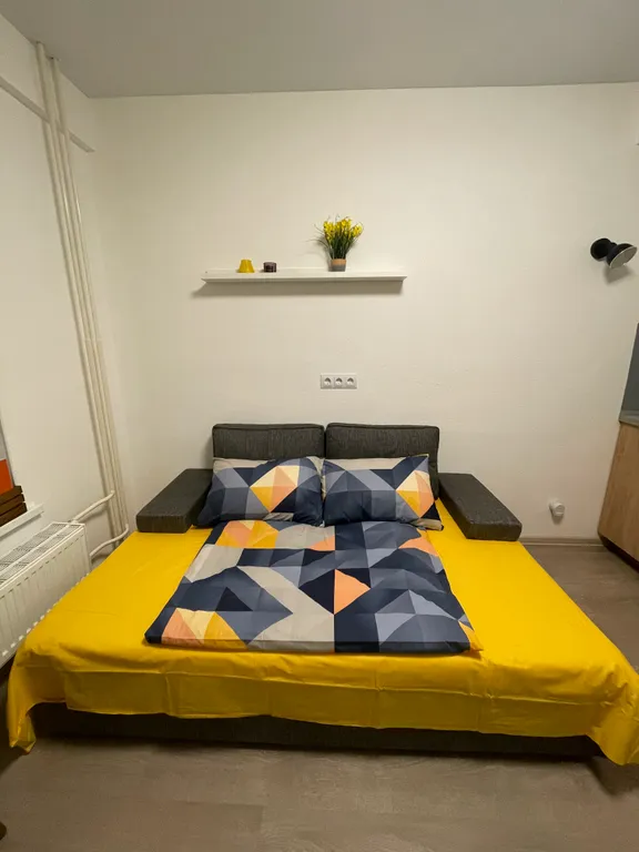 Студия в сосновом бору