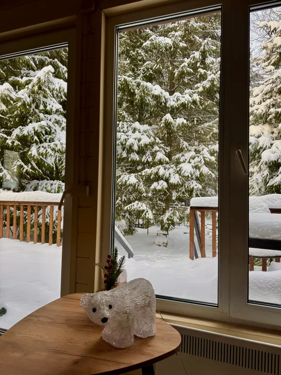 Дом в елях с финской сауной