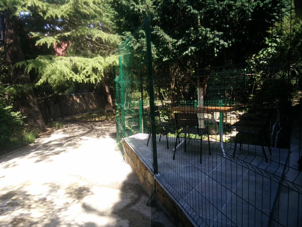 Дом в парковой зоне