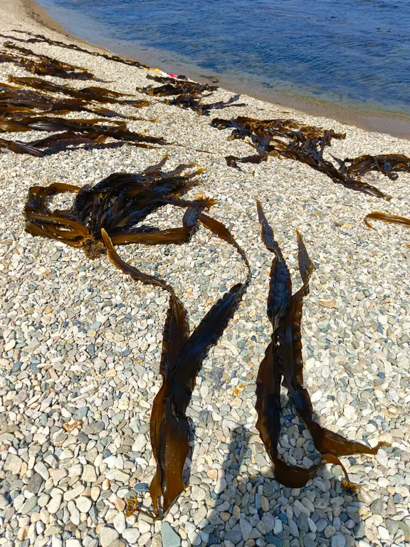 Особенная благостная квартира с удобным расположением на бульваре