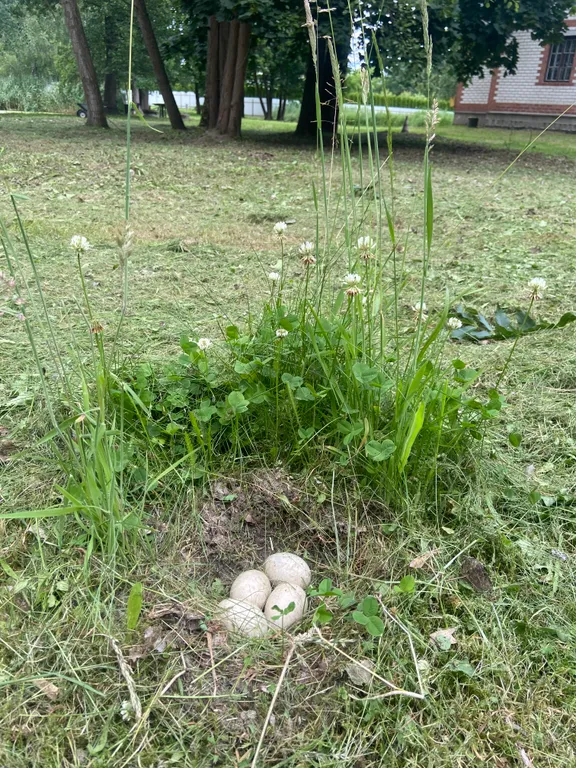 Усадьба На позитиве